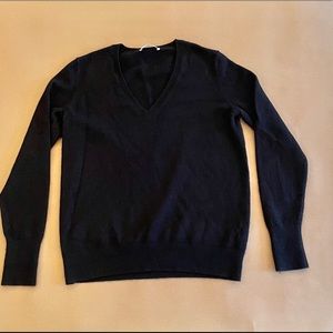 Everlane 100% Cashmere V-Neck Sweater